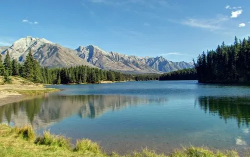 高质量电子