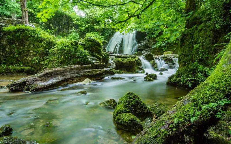 高效高效高性能